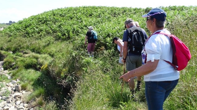 Landrellec le 1/6/2017