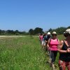 Landrellec le 1/6/2017