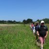 Landrellec le 1/6/2017