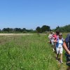 Landrellec le 1/6/2017