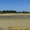 Landrellec le 1/6/2017