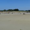 Landrellec le 1/6/2017