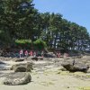 Landrellec le 1/6/2017