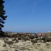 Landrellec le 1/6/2017
