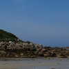 Landrellec le 1/6/2017
