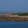 Landrellec le 1/6/2017