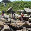 Landrellec le 1/6/2017