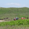 Landrellec le 1/6/2017