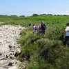 Landrellec le 1/6/2017