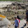 Landrellec le 1/6/2017