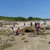 Landrellec le 1/6/2017