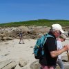 Landrellec le 1/6/2017