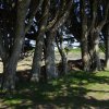 Landrellec le 1/6/2017