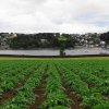 Kerbors le 3 août 2017