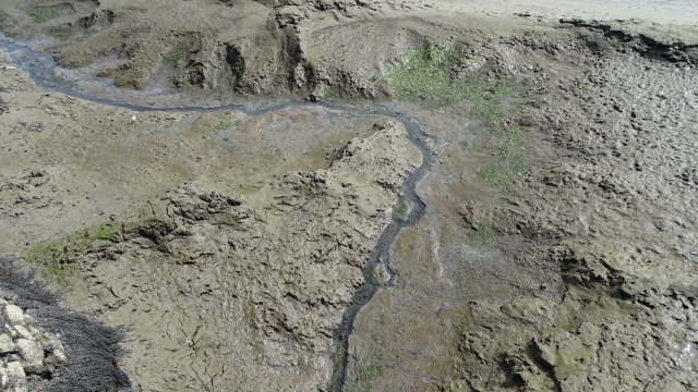 Les rives du Léguer le 24 août 2017