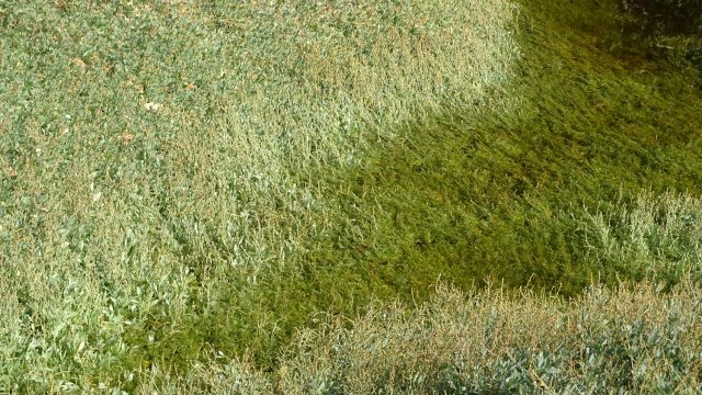 Les rives du Léguer le 24 août 2017