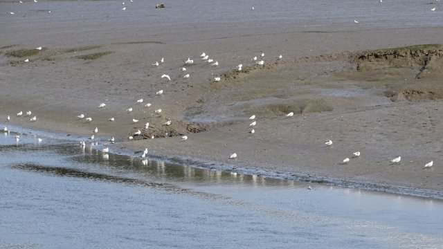 Les rives du Léguer le 24 août 2017