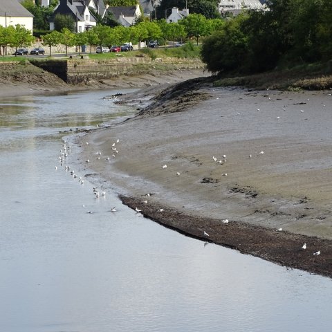 Les rives du Léguer le 24 août 2017