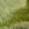 Les rives du Léguer le 24 août 2017