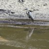 Les rives du Léguer le 24 août 2017