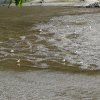 Les rives du Léguer le 24 août 2017