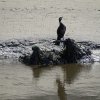 Les rives du Léguer le 24 août 2017