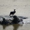 Les rives du Léguer le 24 août 2017