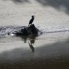Les rives du Léguer le 24 août 2017