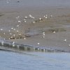 Les rives du Léguer le 24 août 2017