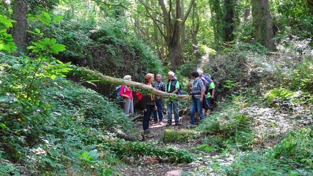 La vallée des Traouiero le 31/8/2017