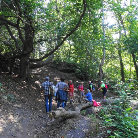La vallée des Traouiero le 31/8/2017