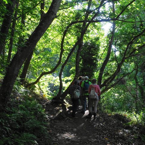 La vallée des Traouiero le 31/8/2017
