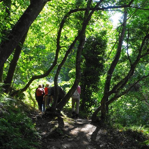 La vallée des Traouiero le 31/8/2017