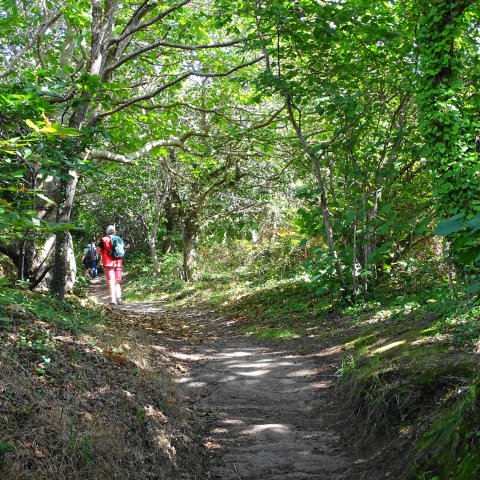 La vallée des Traouiero le 31/8/2017