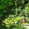 La vallée des Traouiero le 31/8/2017